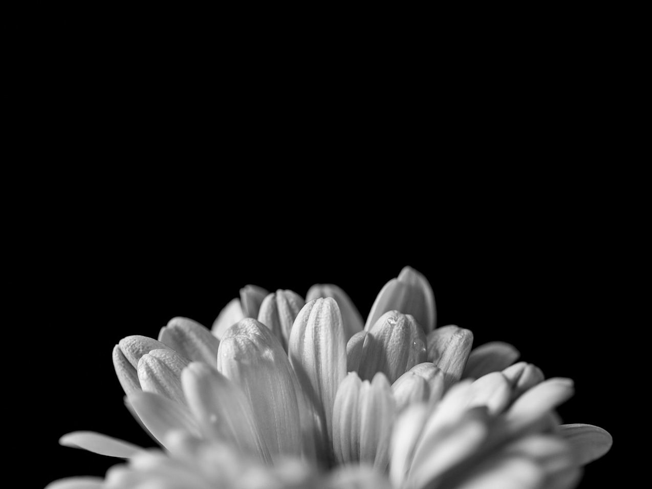 J9���Ź���(�й�)-�ٷ���վ