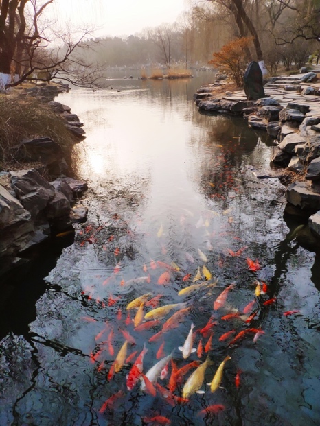 J9集团国际(中国)-官方网站