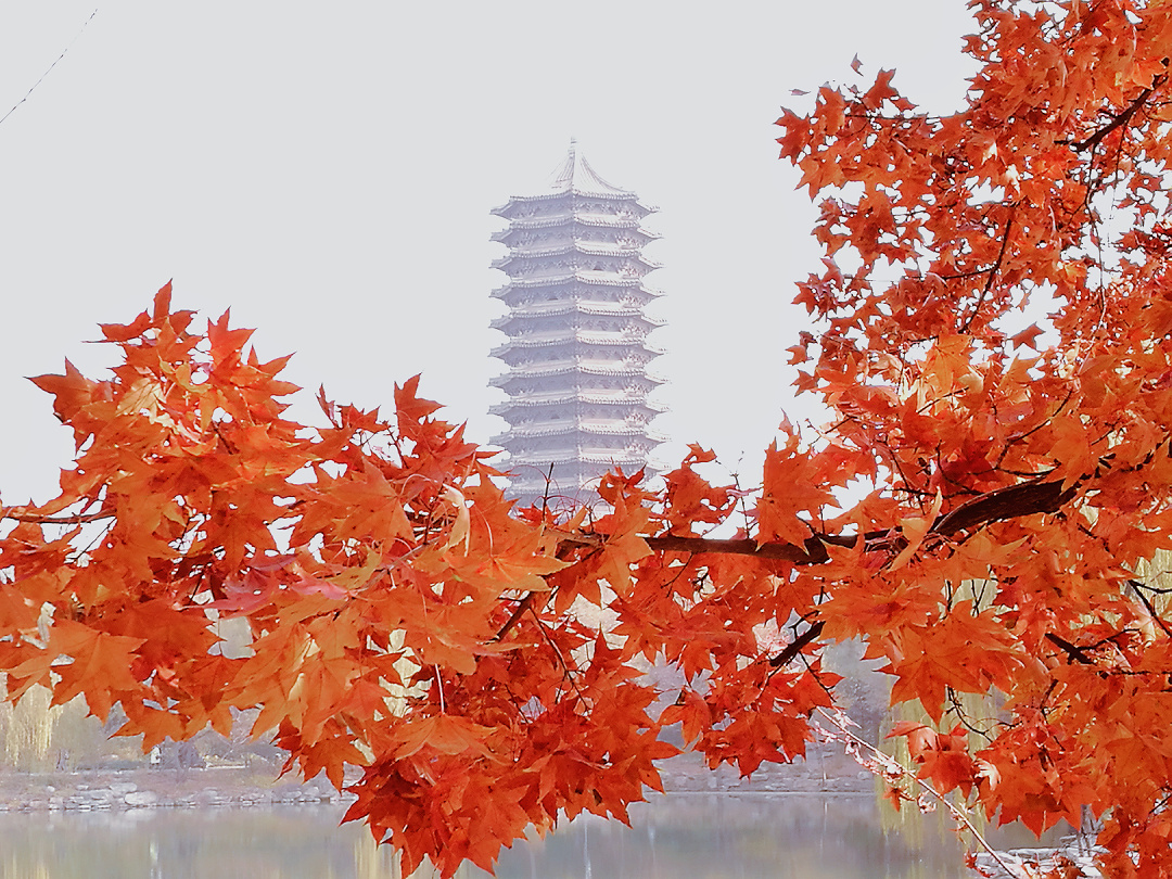 20E01B043BFCC6DCF528AE91379_33E0E00E_95E6B.jpg?e=