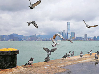 J9集团国际(中国)-官方网站