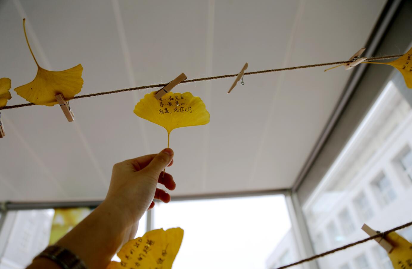 J9集团国际(中国)-官方网站