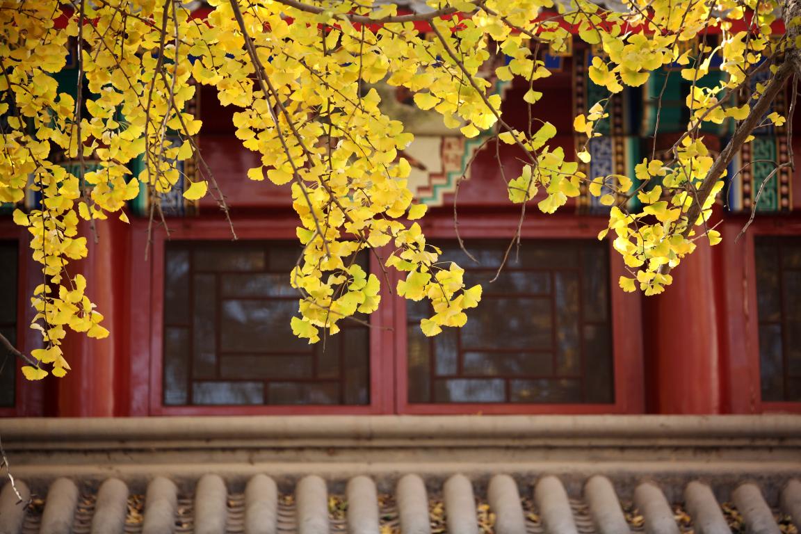 感动 | 确认过眼神，你是对的人