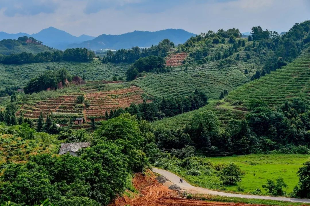 EC1DA8399AAB69284E23A92C609_42410474_31CFE.jpg?e=