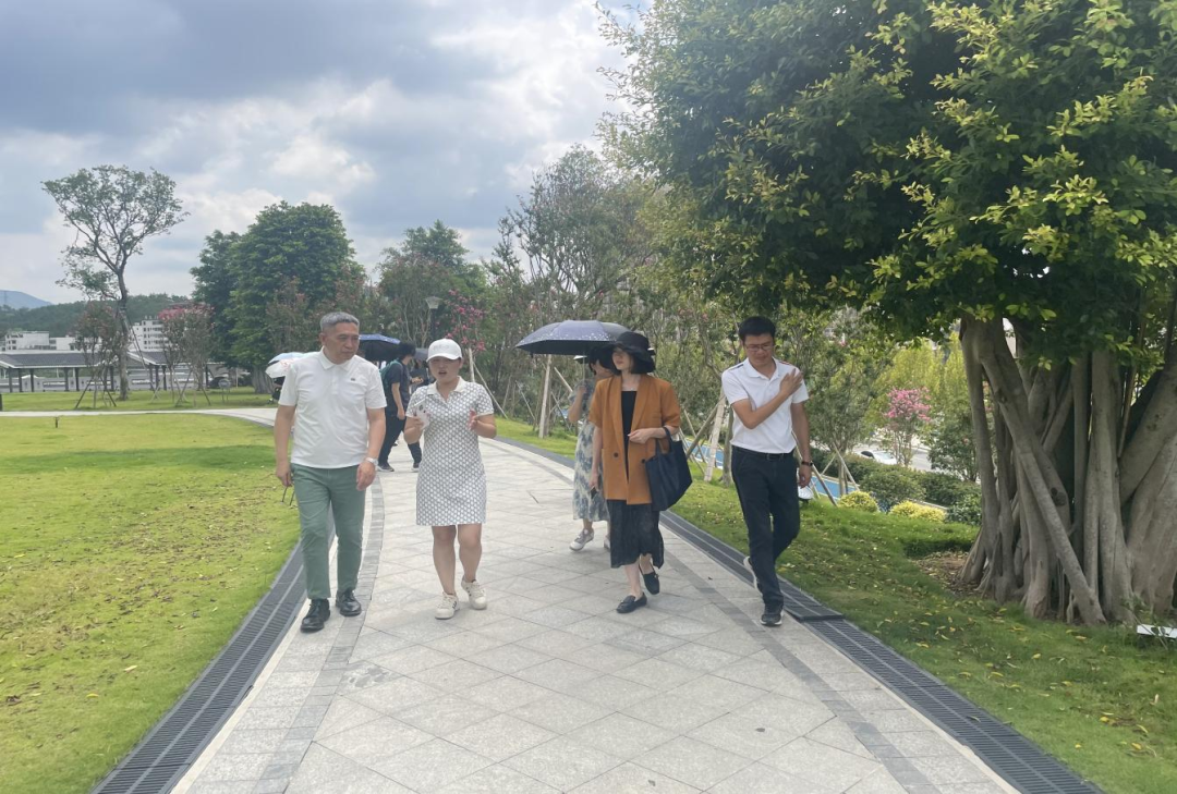 731ABCFAEF93A6E34D5662DFD5A_7E481B63_13E298