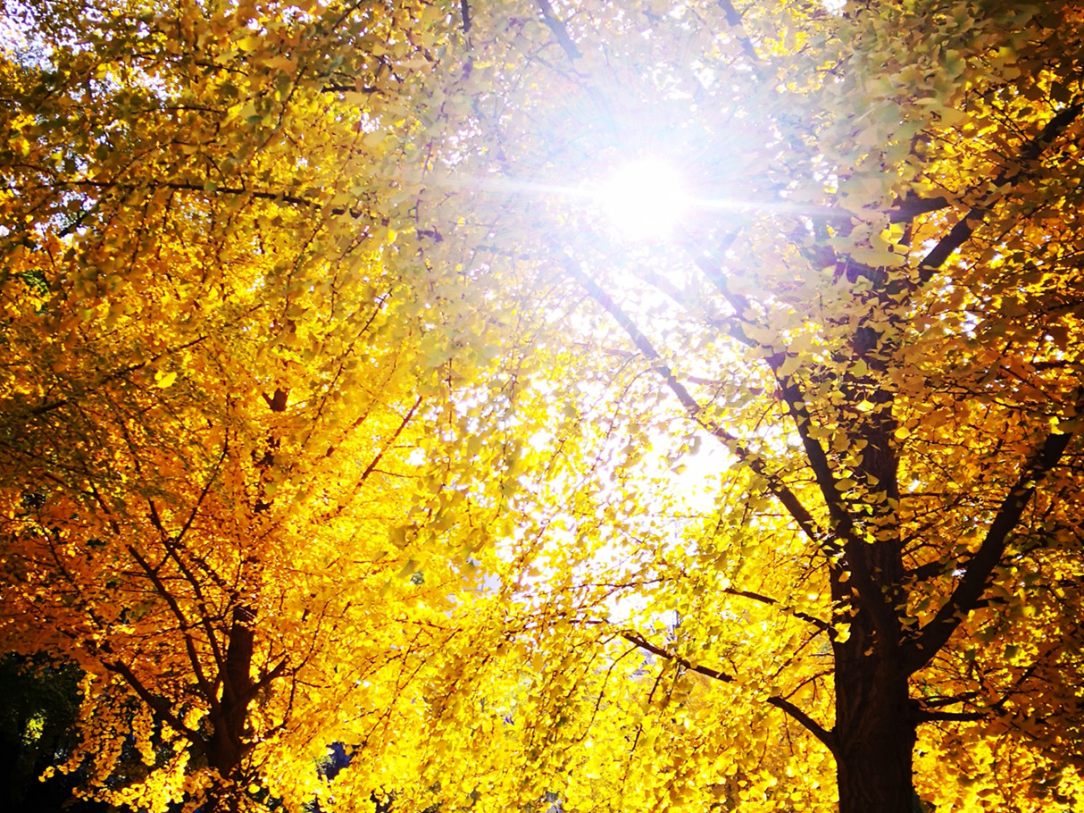  MPAcc分享会干货满满 | 尊沉经济内容，回归管帐初衷 