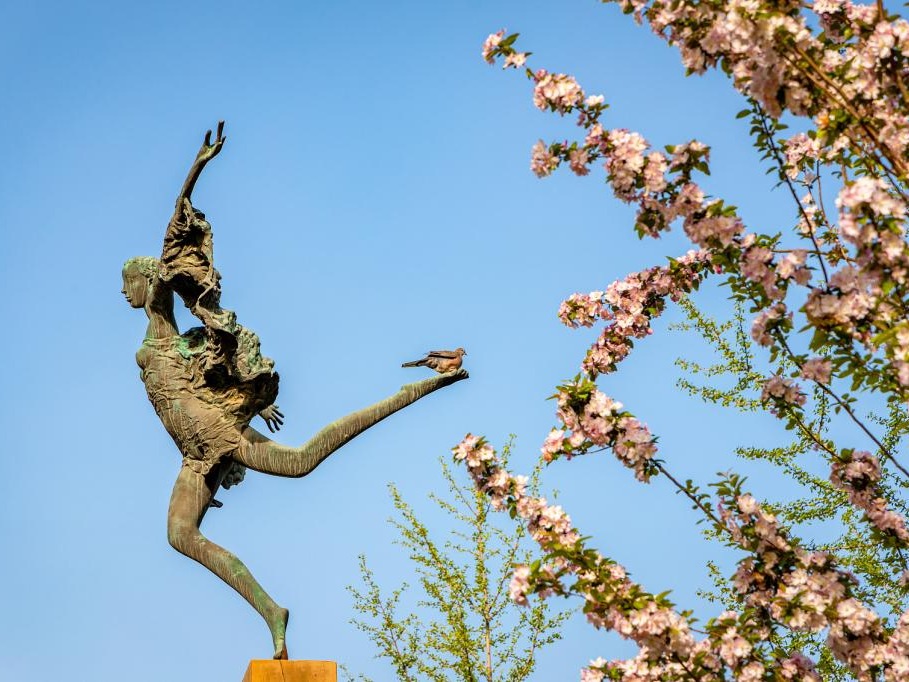 J9集团国际(中国)-官方网站