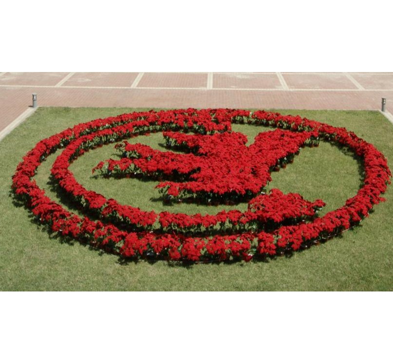 J9集团国际(中国)-官方网站