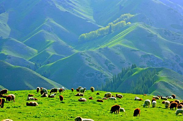 J9集团国际(中国)-官方网站