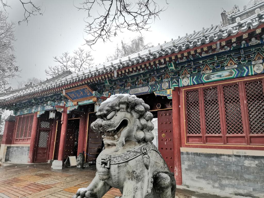  考研倒计时 | 预？佳谐晒Γ 