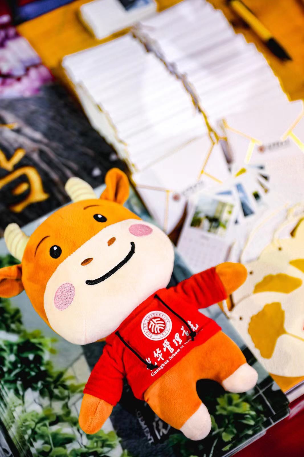 6381BF2F6DEA98B00755A8C9827_298EC1AD_18E04D