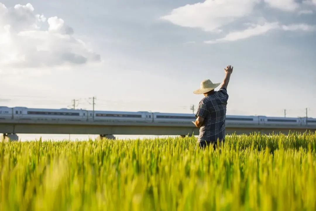 1FBD72F86A8954D8878CDBCD9AB_9CB2297D_11B7B.jpeg?e=