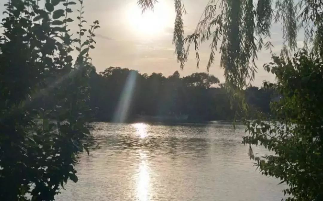 D1EB8204B45033472CD8691B4F8_E82163F6_16D9D