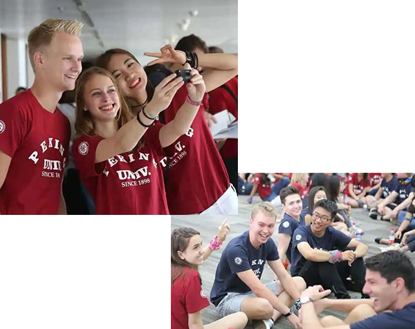 A25285048B2748BE9141DA51149_A9919441_2F4A4