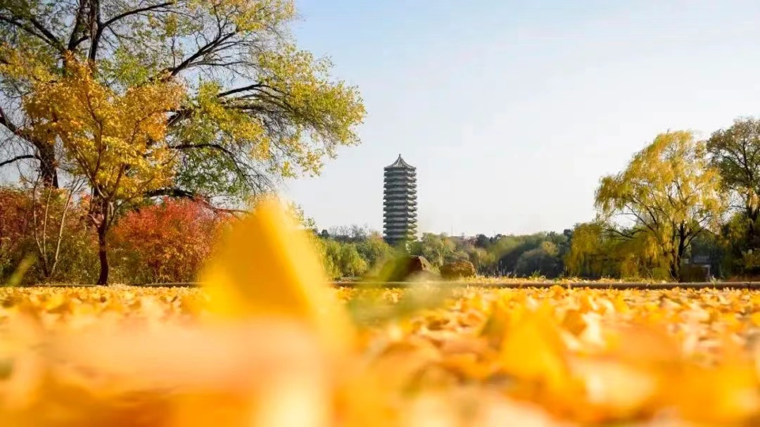 J9集团国际(中国)-官方网站