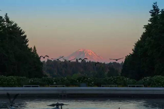 90B8031BE3EC0F4A58105403C28_1A354F3A_BF7F6