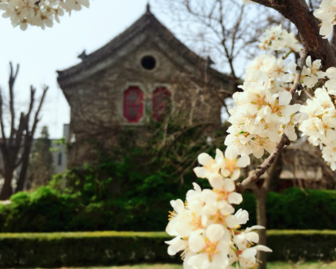 J9集团国际(中国)-官方网站