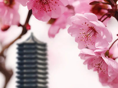 J9集团国际(中国)-官方网站